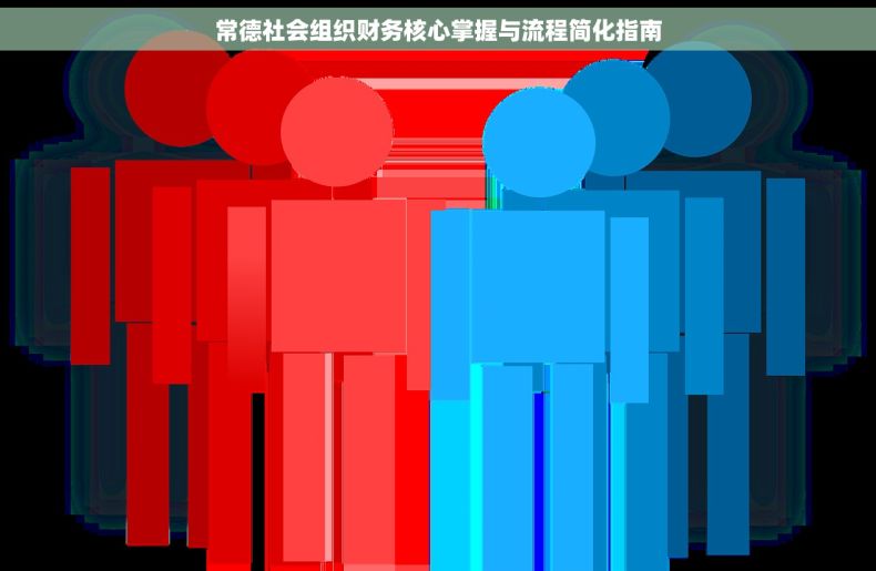 常德社会组织财务核心掌握与流程简化指南