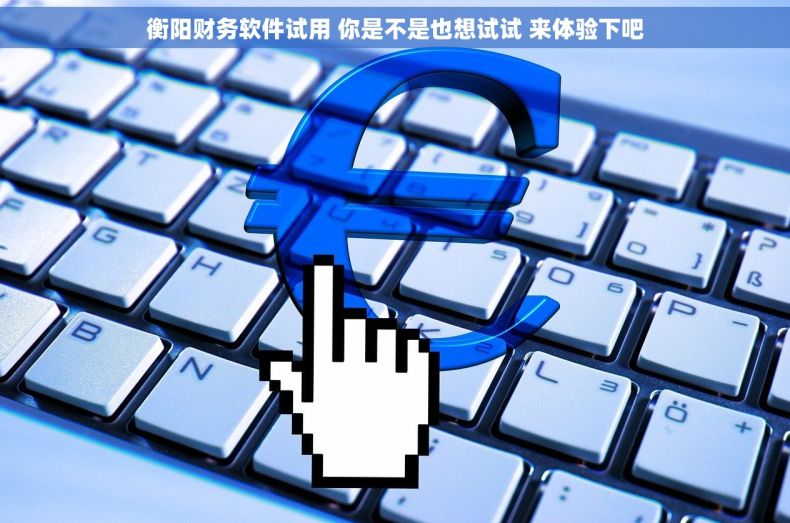 衡阳财务软件试用 你是不是也想试试 来体验下吧