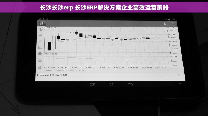 长沙长沙erp 长沙ERP解决方案企业高效运营策略