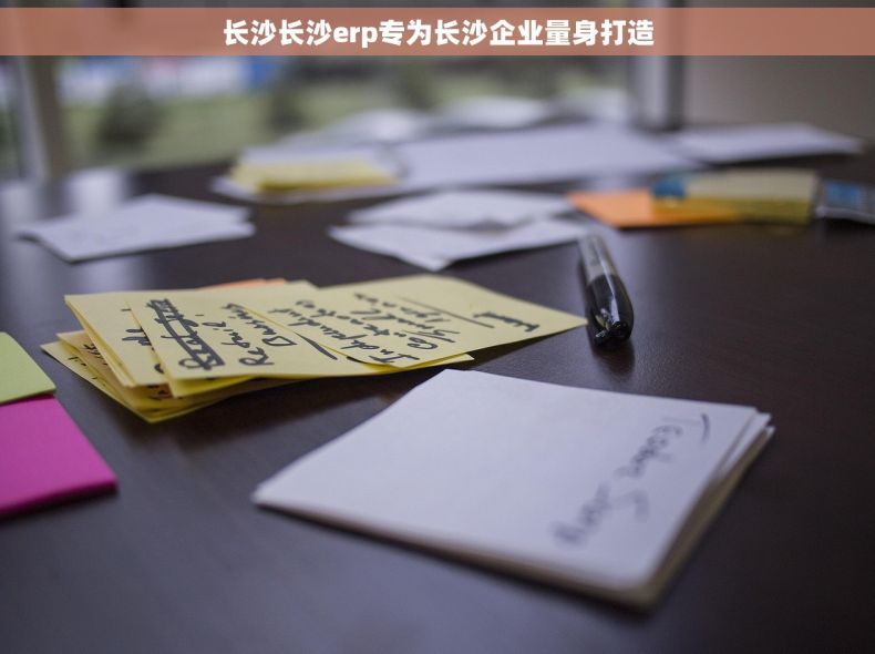 长沙长沙erp专为长沙企业量身打造
