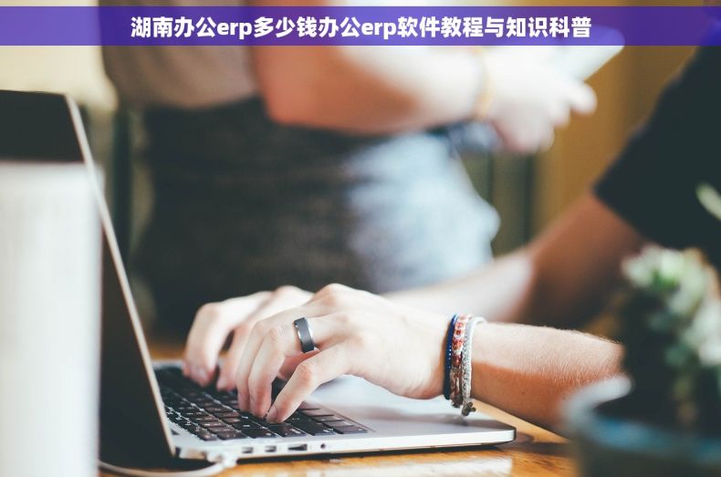 湖南办公erp多少钱办公erp软件教程与知识科普