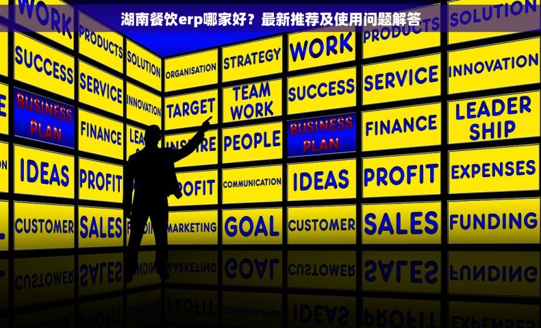 湖南餐饮erp哪家好？最新推荐及使用问题解答