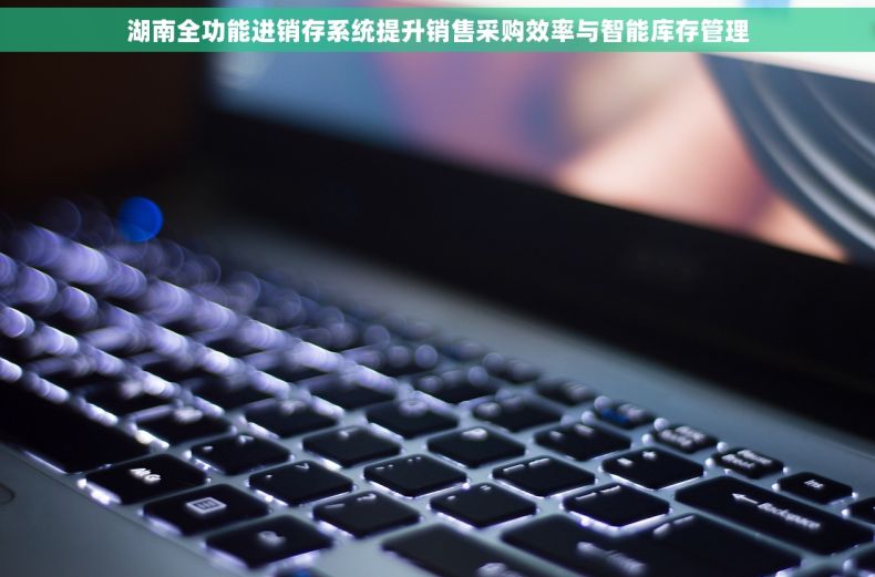 湖南全功能进销存系统提升销售采购效率与智能库存管理