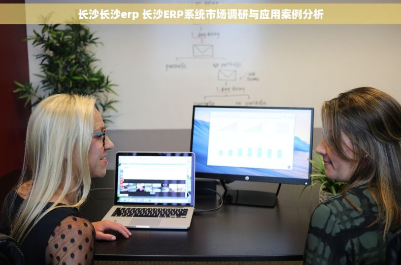 长沙长沙erp 长沙ERP系统市场调研与应用案例分析