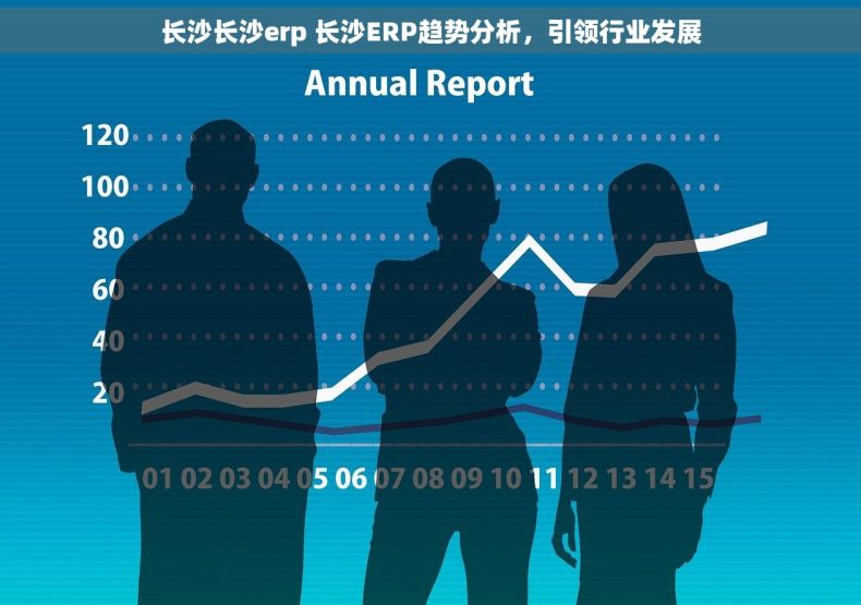 长沙长沙erp 长沙ERP趋势分析，引领行业发展