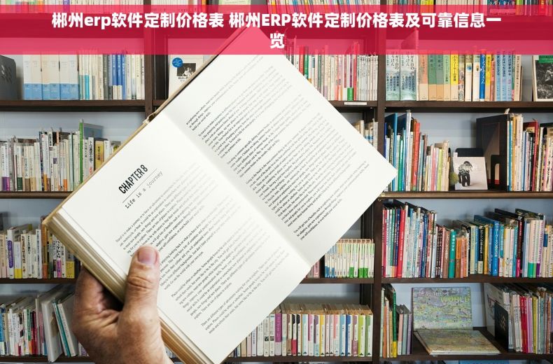 郴州erp软件定制价格表 郴州ERP软件定制价格表及可靠信息一览