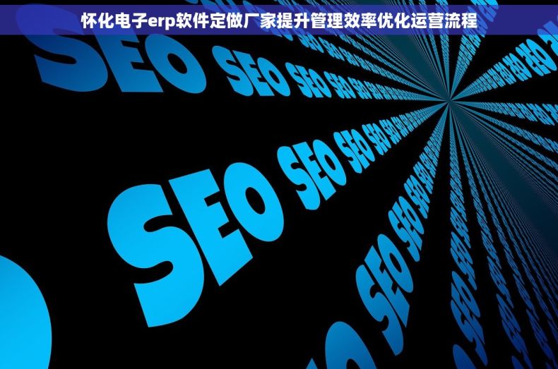 怀化电子erp软件定做厂家提升管理效率优化运营流程