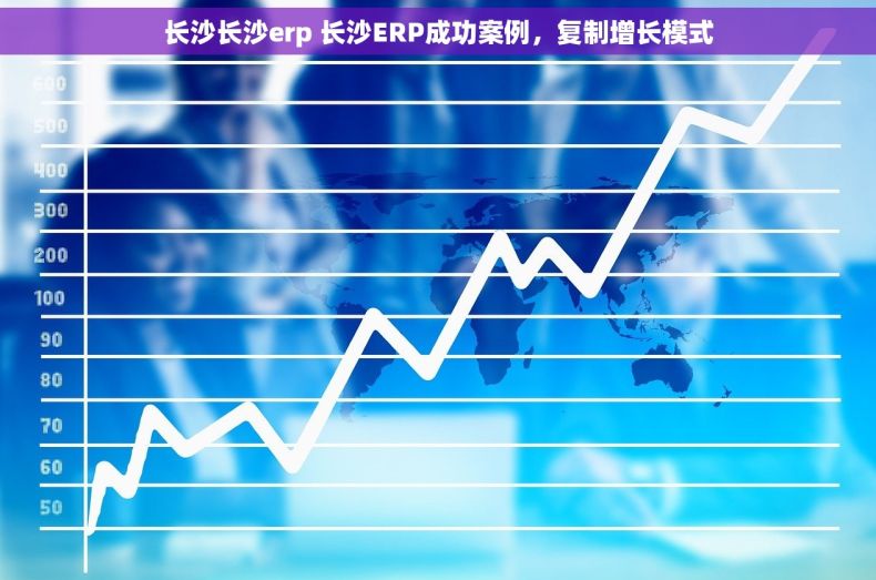 长沙长沙erp 长沙ERP成功案例，复制增长模式