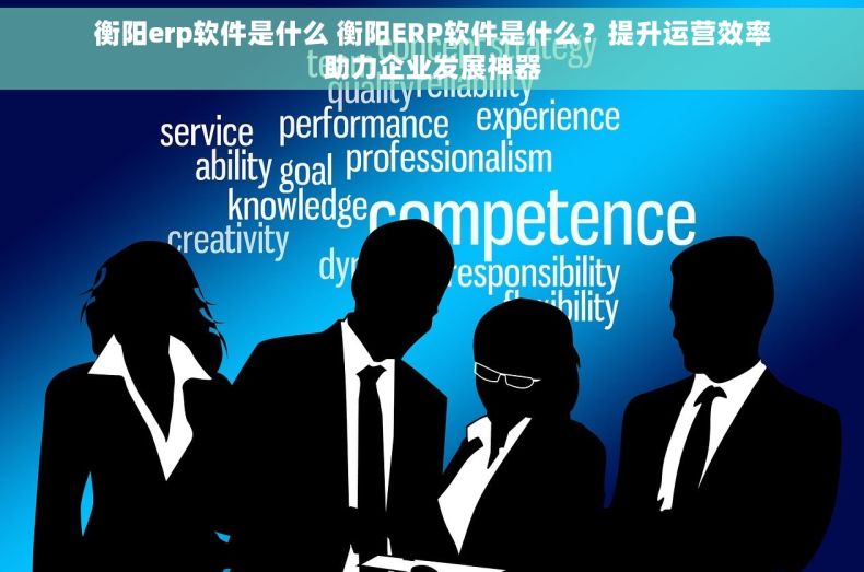 衡阳erp软件是什么 衡阳ERP软件是什么？提升运营效率助力企业发展神器