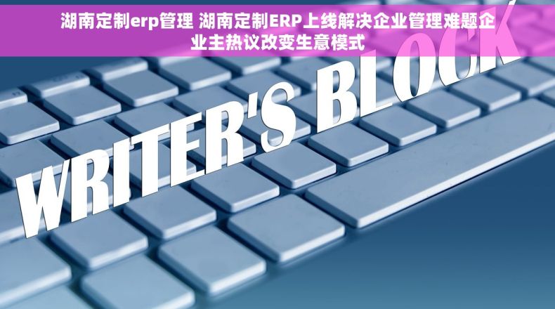 湖南定制erp管理 湖南定制ERP上线解决企业管理难题企业主热议改变生意模式