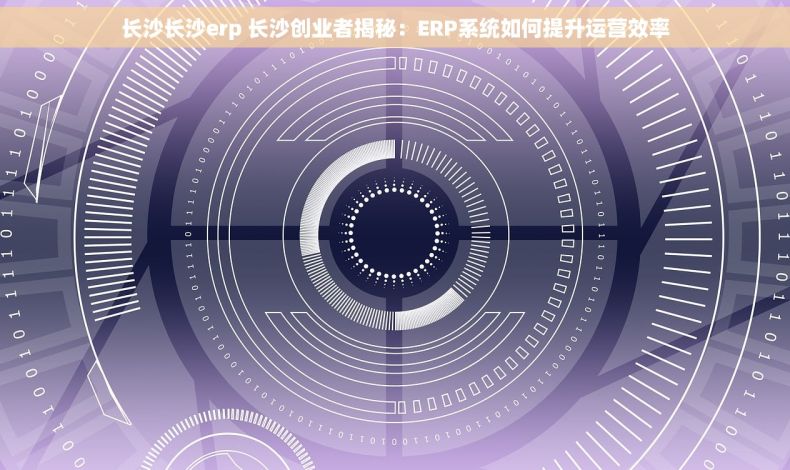 长沙长沙erp 长沙创业者揭秘：ERP系统如何提升运营效率