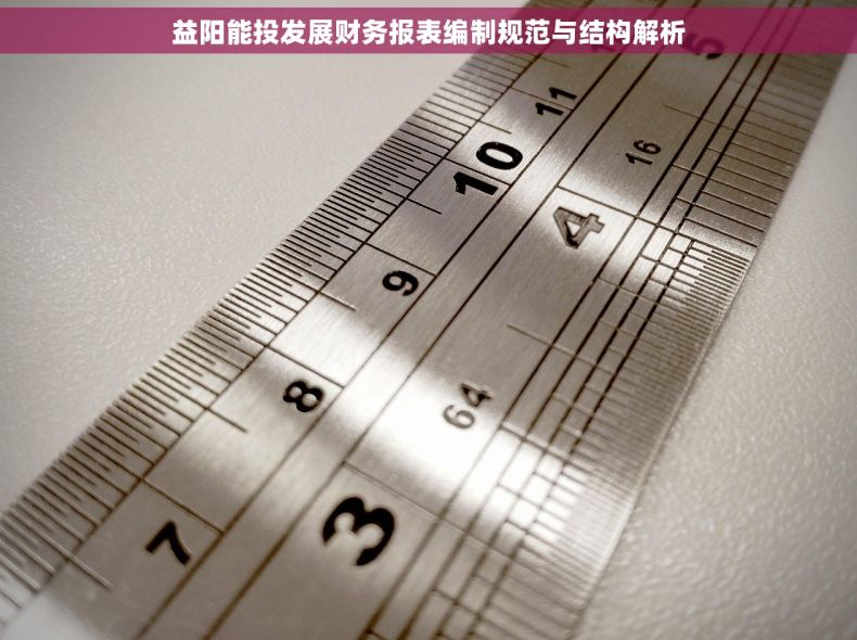 益阳能投发展财务报表编制规范与结构解析