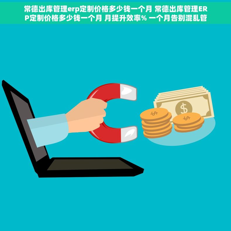 常德出库管理erp定制价格多少钱一个月 常德出库管理ERP定制价格多少钱一个月 月提升效率% 一个月告别混乱管理！