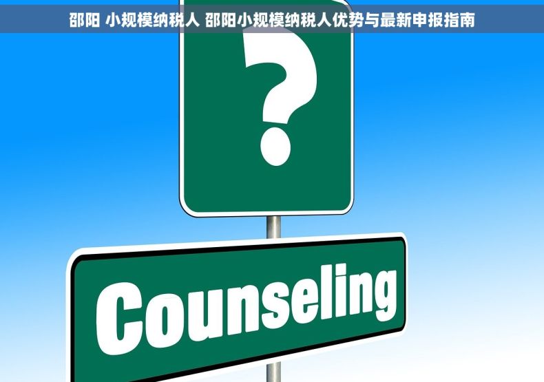 邵阳 小规模纳税人 邵阳小规模纳税人优势与最新申报指南
