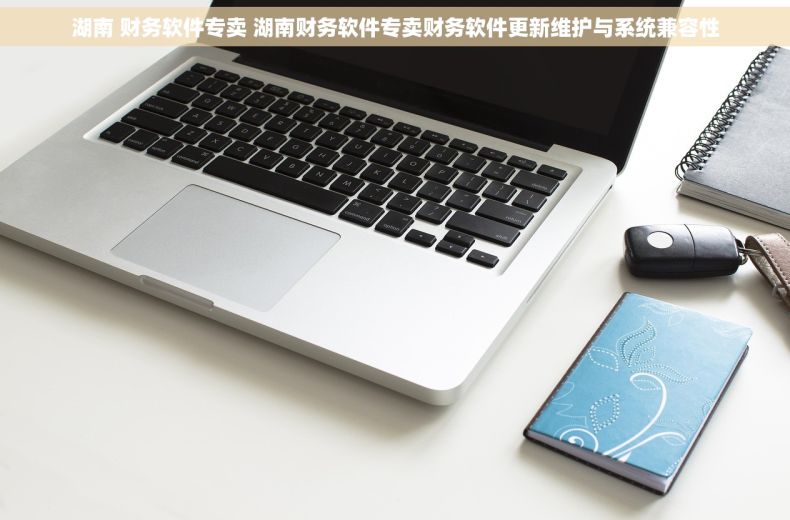 湖南 财务软件专卖 湖南财务软件专卖财务软件更新维护与系统兼容性