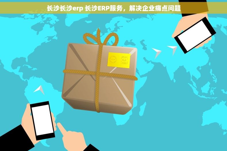 长沙长沙erp 长沙ERP服务，解决企业痛点问题
