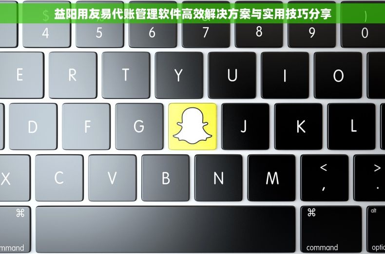 益阳用友易代账管理软件高效解决方案与实用技巧分享