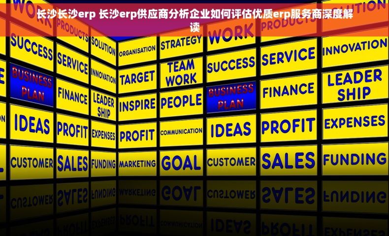 长沙长沙erp 长沙erp供应商分析企业如何评估优质erp服务商深度解读