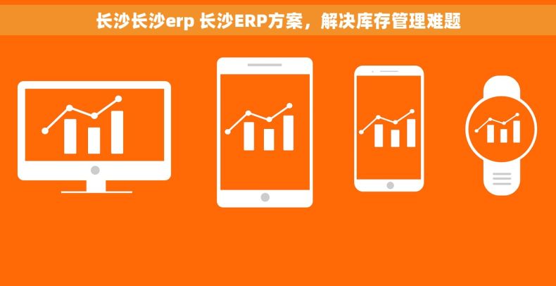 长沙长沙erp 长沙ERP方案，解决库存管理难题