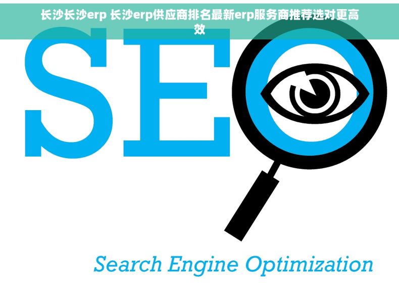 长沙长沙erp 长沙erp供应商排名最新erp服务商推荐选对更高效