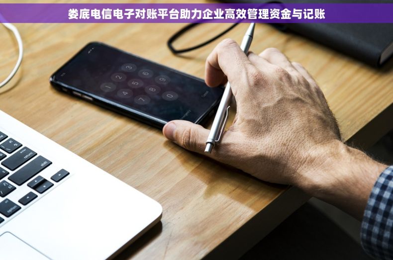 娄底电信电子对账平台助力企业高效管理资金与记账