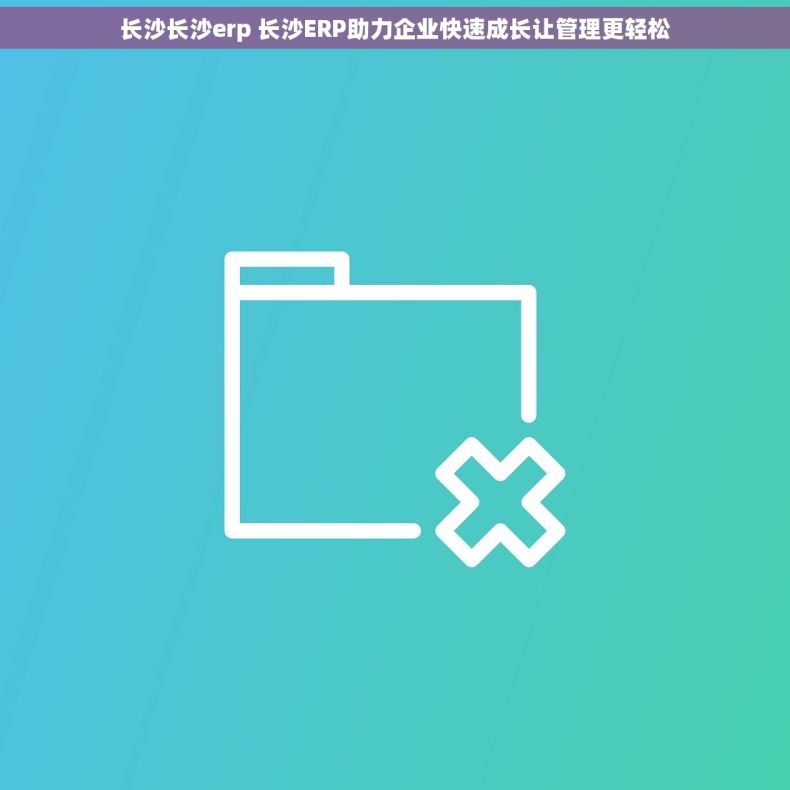长沙长沙erp 长沙ERP助力企业快速成长让管理更轻松