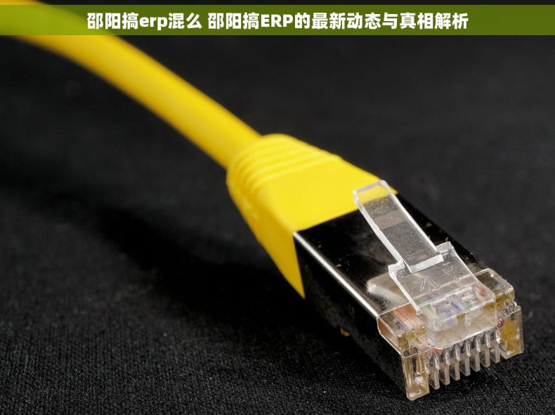 邵阳搞erp混么 邵阳搞ERP的最新动态与真相解析