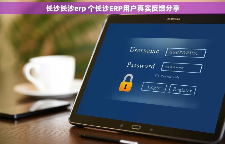 长沙长沙erp 个长沙ERP用户真实反馈分享
