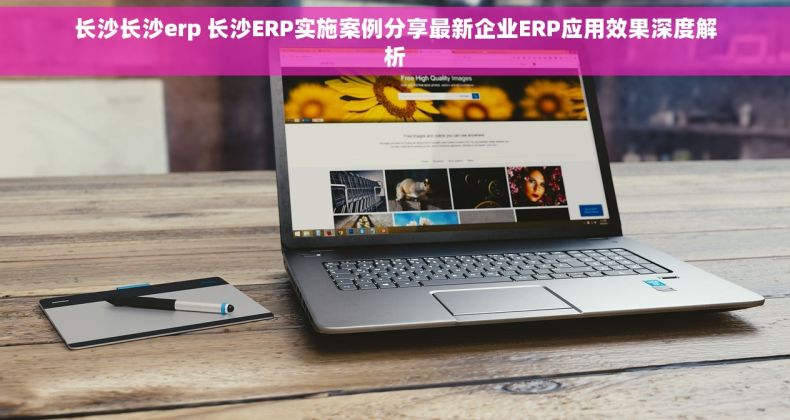 长沙长沙erp 长沙ERP实施案例分享最新企业ERP应用效果深度解析
