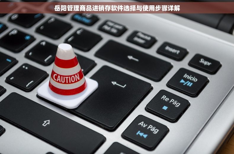 岳阳管理商品进销存软件选择与使用步骤详解