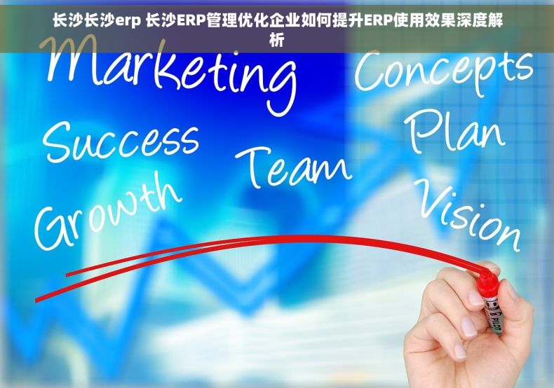 长沙长沙erp 长沙ERP管理优化企业如何提升ERP使用效果深度解析