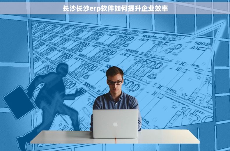 长沙长沙erp软件如何提升企业效率