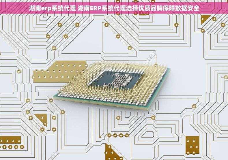 湖南erp系统代理 湖南ERP系统代理选择优质品牌保障数据安全