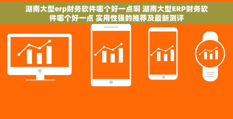 湖南大型erp财务软件哪个好一点啊 湖南大型ERP财务软件哪个好一点 实用性强的推荐及最新测评