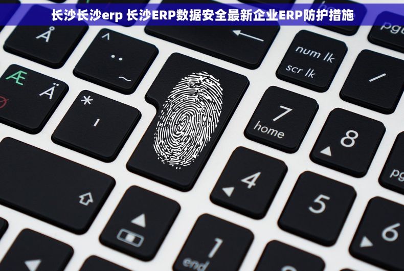 长沙长沙erp 长沙ERP数据安全最新企业ERP防护措施