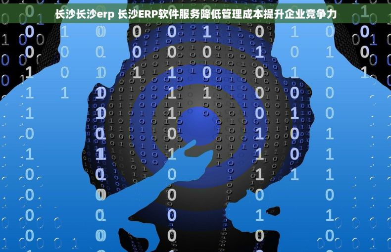 长沙长沙erp 长沙ERP软件服务降低管理成本提升企业竞争力