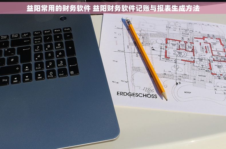 益阳常用的财务软件 益阳财务软件记账与报表生成方法