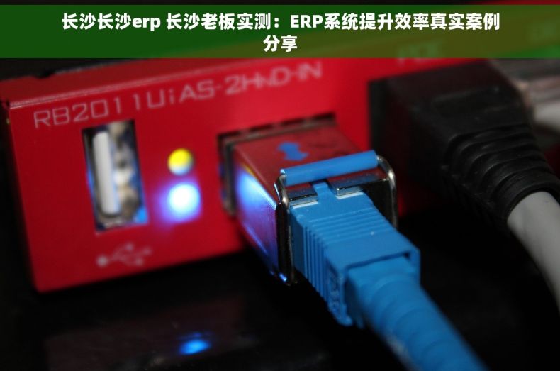 长沙长沙erp 长沙老板实测：ERP系统提升效率真实案例分享