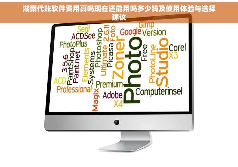 湖南代账软件费用高吗现在还能用吗多少钱及使用体验与选择建议