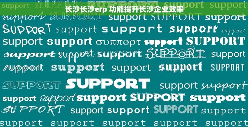 长沙长沙erp 功能提升长沙企业效率