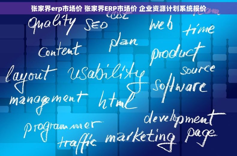张家界erp市场价 张家界ERP市场价 企业资源计划系统报价