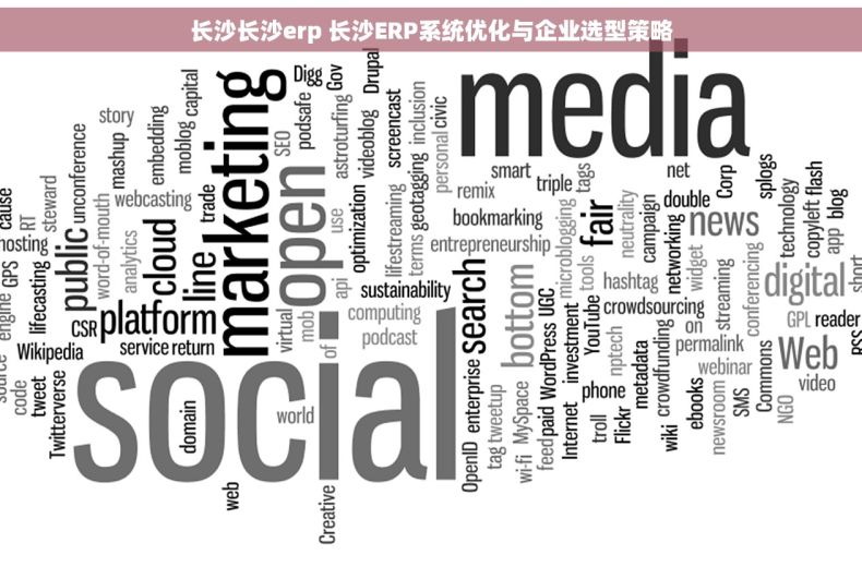 长沙长沙erp 长沙ERP系统优化与企业选型策略