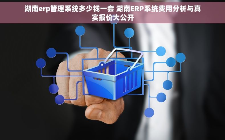 湖南erp管理系统多少钱一套 湖南ERP系统费用分析与真实报价大公开