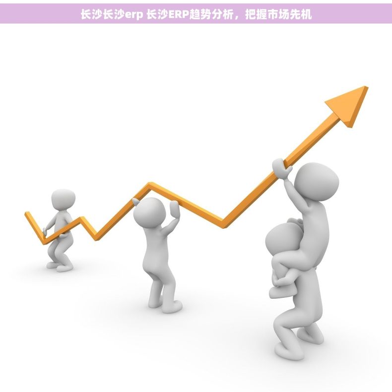长沙长沙erp 长沙ERP趋势分析，把握市场先机