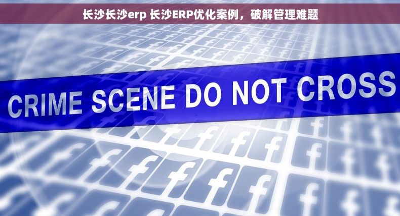 长沙长沙erp 长沙ERP优化案例，破解管理难题