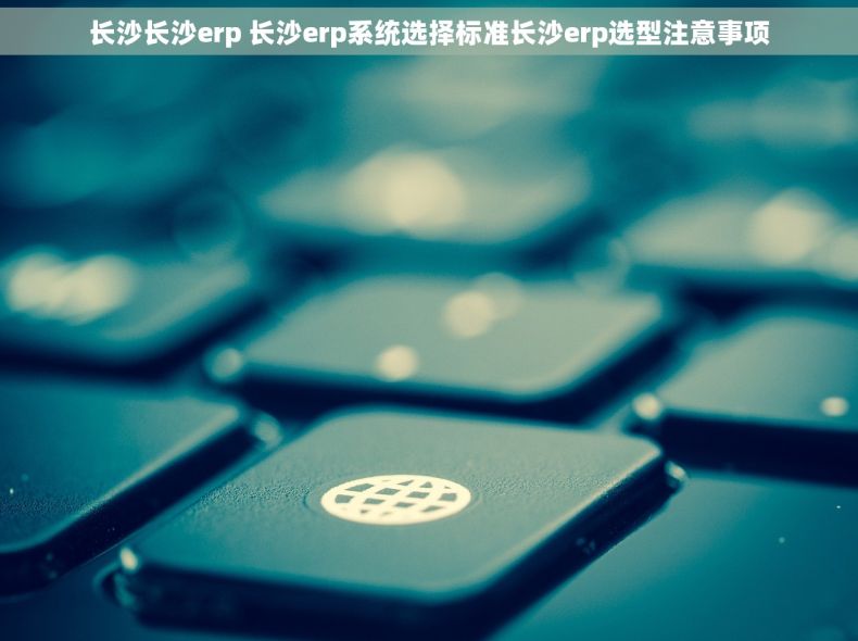长沙长沙erp 长沙erp系统选择标准长沙erp选型注意事项