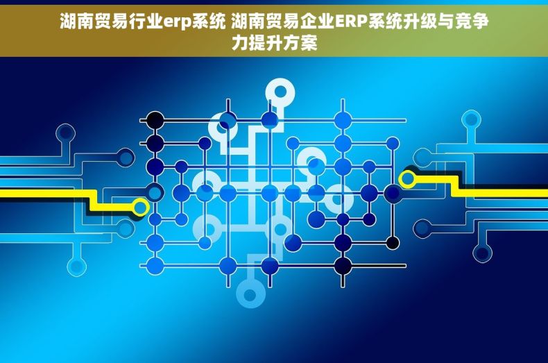 湖南贸易行业erp系统 湖南贸易企业ERP系统升级与竞争力提升方案