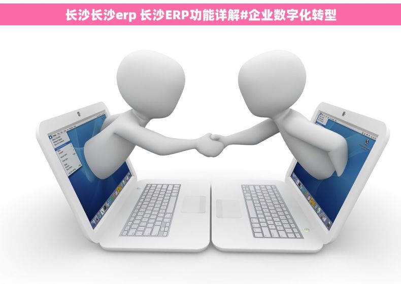 长沙长沙erp 长沙ERP功能详解#企业数字化转型