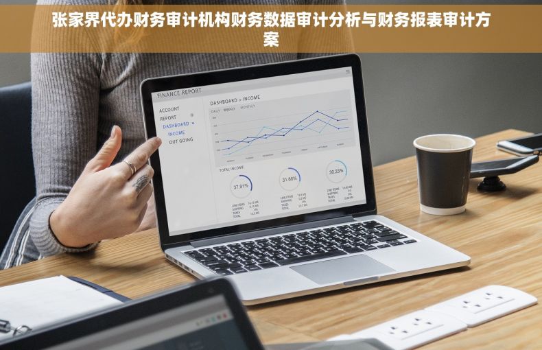 张家界代办财务审计机构财务数据审计分析与财务报表审计方案