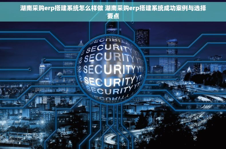 湖南采购erp搭建系统怎么样做 湖南采购erp搭建系统成功案例与选择要点